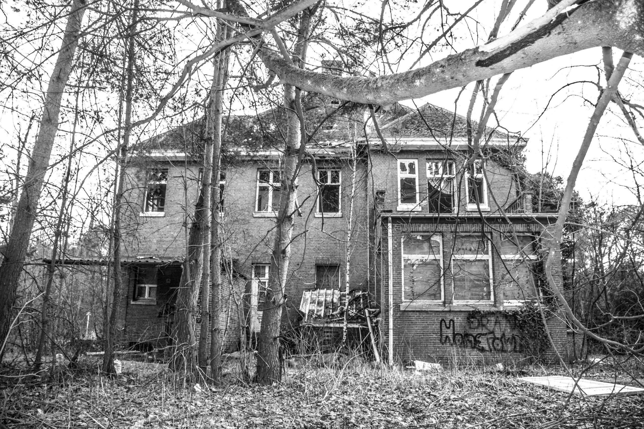 Creepy-looking-house