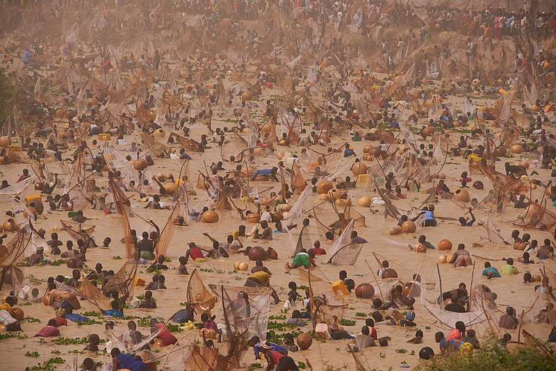 Argungu Fishing Festival