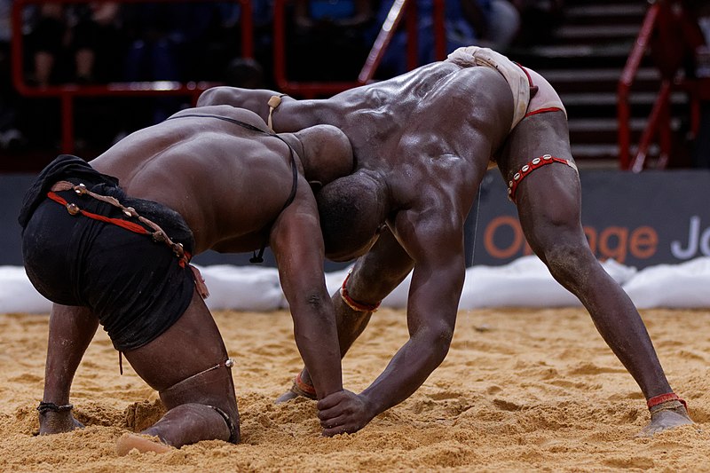 Lutte sénégalaise Bercy 2013